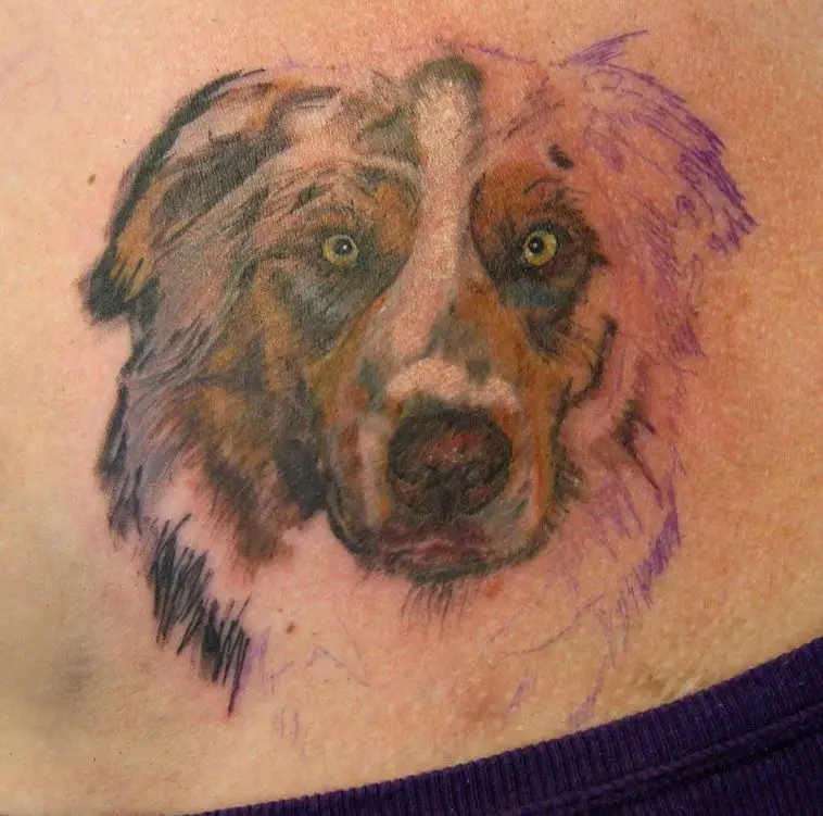 The 25+ Cutest Australian Shepherd Dog Tattoos Ever Page 2 of 5 The