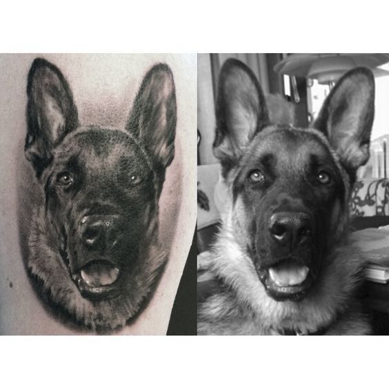 50 Best German Shepherd Dog Tattoo Ideas  The Paws