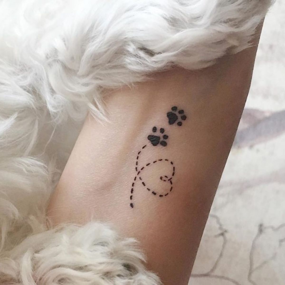 Discover more than 77 paw print tattoo with angel wings best  ineteachers