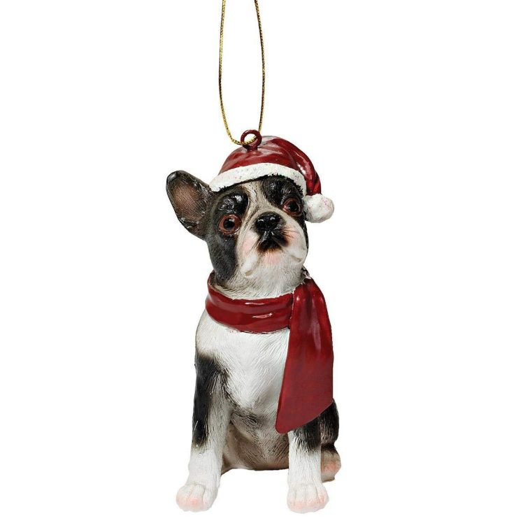 36 Best Gifts for Boston Terrier Lovers | The Paws