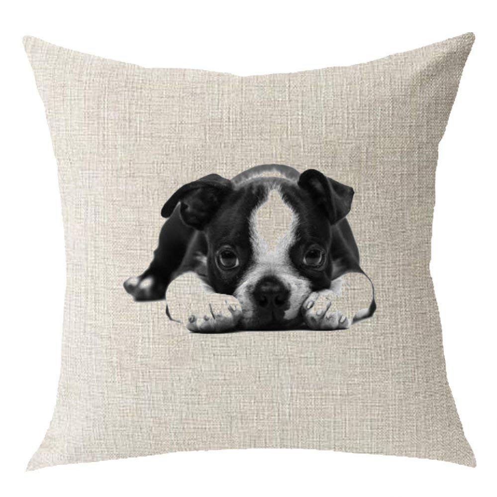 36 Best Gifts for Boston Terrier Lovers | The Paws