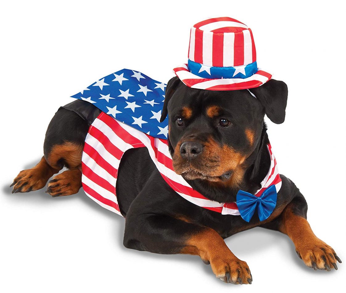 Large Dog Halloween Costumes
 18 Best Dog Halloween Costumes