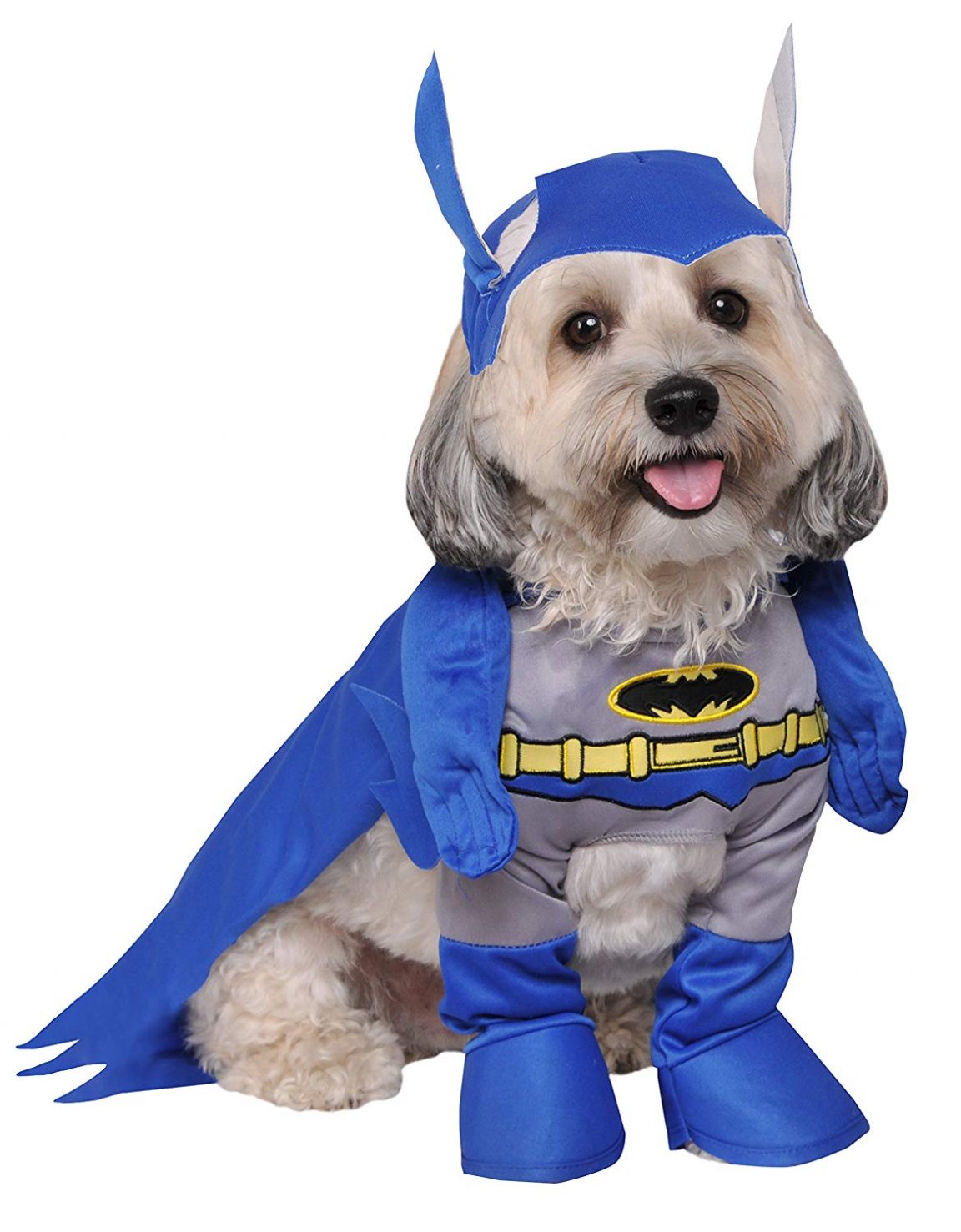 Small Dog Halloween Costumes
 50 Best Small Dog Halloween Costumes