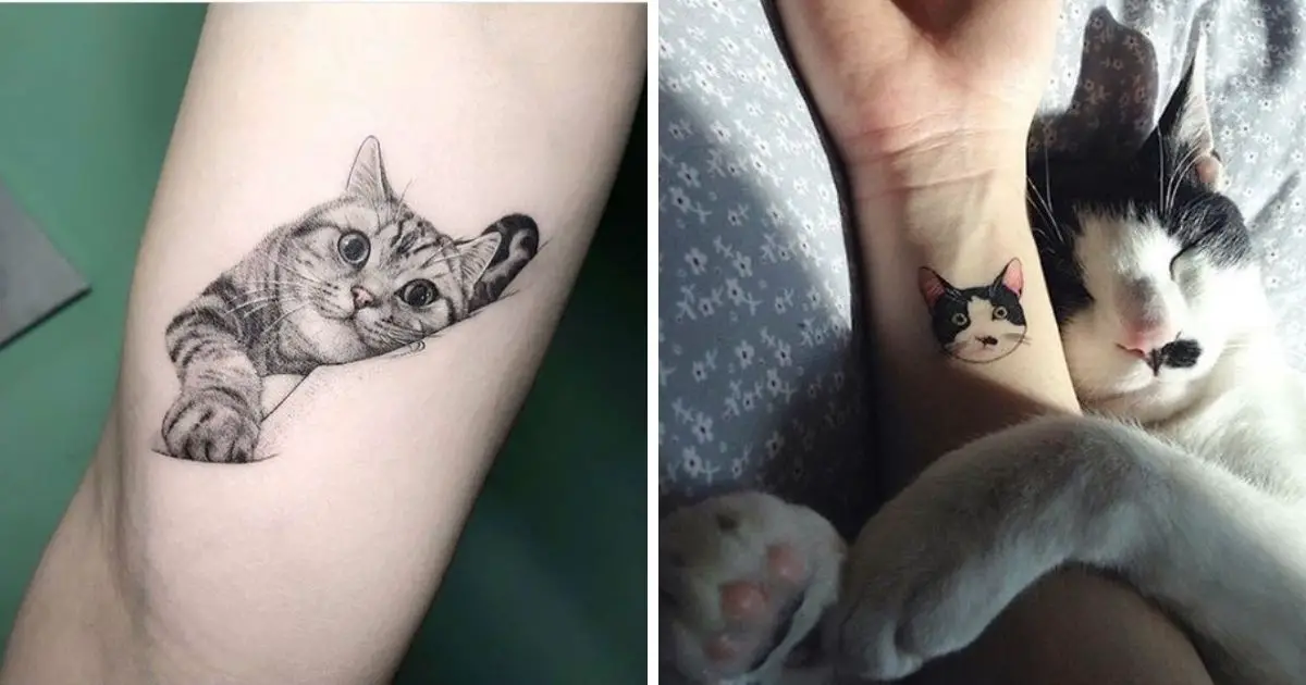 50 Cute Cat Tattoo Design Ideas - The Paws