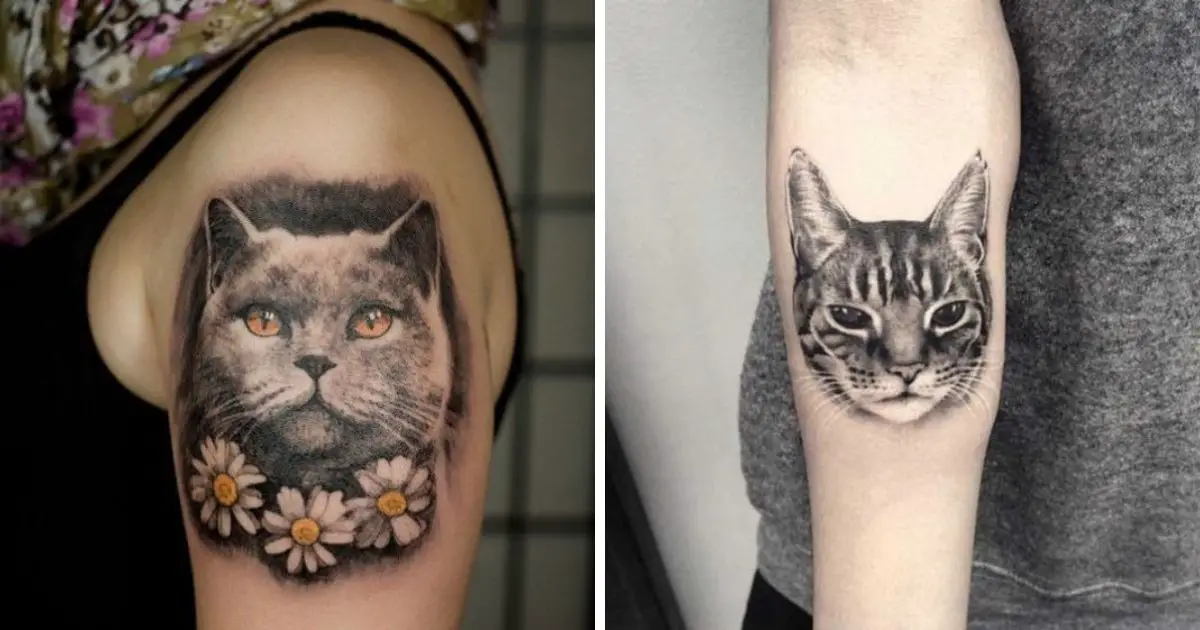 Cat tattoos why is this trend becoming more and more popular in the world  of tattoos 