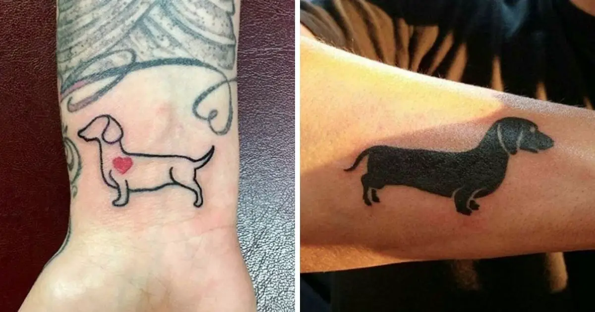 Chicago hotdachshund tattoo based on my wiener dog Done by Gnome at Fudo  Tattoo in Chicago IL  rtattoos