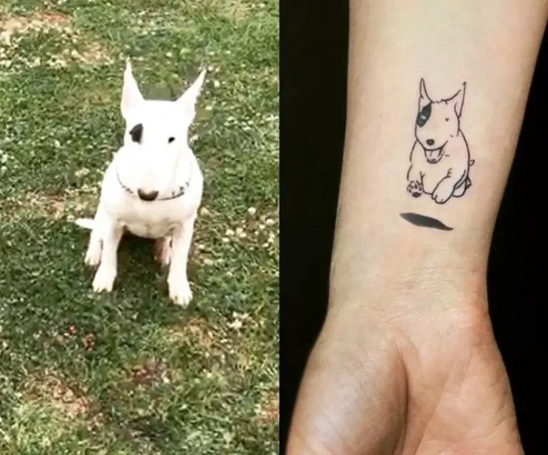 25 Best Bull Terrier Tattoo Designs The Paws