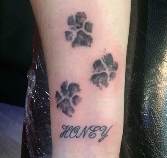 20 Best Dog Name Tattoo Designs The Paws