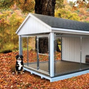 25 Best Outdoor Dog Kennel Ideas