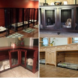 Best Indoor Dog Kennel Ideas by Karen FloresKaren Flores Share Pin3.9K #1 Custom Corner Kennel Indoor wooden dog kennel, corner dog crate furnitureSource More Avatar Write a comment...* #2 Large indoor dog kennel, Dog kennel in garage idea, Chain link dog kennel panels More Avatar Write a comment...* #3 Large indoor dog kennel, Dog boarding kennel More Avatar Write a comment...* #4 Custom indoor dog kennel More Avatar Write a comment...* #5 Large indoor dog kennel, Dog boarding kennel More Avatar Write a comment...* #6 Indoor puppy kennel, Chain link dog kennel panels More Avatar Write a comment...* #7 Large indoor dog kennel, Dog boarding kennel More Avatar Write a comment...* #8 Dog kennel in garage idea, Dog boarding kennel, Indoor dog kennel More Edit Delete Avatar Write a comment...* #9 Indoor dog kennel More Edit Delete Avatar Write a comment...* #10 Indoor wooden dog kennel More Edit Delete Avatar Write a comment...* #11 Dog kennel in garage idea, Large indoor dog kennel, Dog boarding kennel More Edit Delete Avatar Write a comment...* #12 Large indoor dog kennel, Dog boarding kennel, Chain link dog kennel panels More Edit Delete Avatar Write a comment...* #13 Indoor dog kennel, Chain link dog kennel panels More Edit Delete Avatar Write a comment...* #14 Indoor dog kennel, Metal dog kennel More Edit Delete Avatar Write a comment...* AvatarWENDY 2 years ago Edit WHERE DO YOU BUY THESE AT Reply #15 Indoor dog kennel, Chain link dog kennel panels More Edit Delete Avatar Write a comment...* #16 Large indoor dog kennel, Dog boarding kennel, Metal dog kennel More Edit Delete Avatar Write a comment...* #17 Indoor wooden dog kennel, Dog crate furniture Source More Edit Delete Avatar Write a comment...* #18 Large indoor dog kennel, Indoor wooden dog kennel, Dog boarding kennel More Edit Delete Avatar Write a comment...* #19 Indoor wooden dog kennel, dog crate furniture Source More Edit Delete Avatar Write a comment...* #20 Indoor wooden dog kennel, Dog crates Source More Edit Delete Avatar Write a comment...* #21 Custom indoor dog kennel More Edit Delete Avatar Write a comment...* #22 Dog kennel in garage idea, Dog boarding kennel More Edit Delete Avatar Write a comment...* AvatarAmol Thakre 2 years ago Edit Where can I get this type of kennel Reply #23 Custom indoor dog kennel More Edit Delete Avatar Write a comment...* #24 Large indoor dog kennel, Dog kennel in garage idea, Dog boarding kennel Source More Edit Delete Avatar Write a comment...* #25 Indoor dog kennel, Chain link dog kennel panels More Edit Delete Avatar Write a comment...* #26 Large indoor dog kennel, Dog boarding kennel Source More Edit Delete Avatar Write a comment...* #27 Metal indoor dog kennel More Edit Delete Avatar Write a comment...* #28 Dog boarding kennel, Indoor dog kennel More Edit Delete Avatar Write a comment...* #29 Dog kennel in garage, Large metal dog crates Source More Edit Delete Avatar Write a comment...* #30 Indoor wooden dog kennel More Edit Delete Avatar Write a comment...* #31 Large indoor dog kennel, Dog boarding kennel More Edit Delete Avatar Write a comment...* #32 Dog boarding kennel, Large indoor dog kennel More Edit Delete Avatar Write a comment...* #33 Large indoor dog kennel, Dog boarding kennel More Edit Delete Avatar Write a comment...* AvatarDee about a year ago Edit Can this be ordered with easy clean out and 4 individual pens? Reply #34 Indoor wooden dog kennel, Dog crate furniture Source More Edit Delete Avatar Write a comment...* AvatarAzeem 2 years ago Edit Lavish life slavery can never be the substitute for freedom. This pic is an epic demonstration of self and forced censorship prevailing in progressive democratic states. Reply #35 Indoor wooden dog kennel, Dog crate furniture Source More Edit Delete Avatar Write a comment...* #36 Indoor dog kennel, Dog kennel in garage idea Source More Edit Delete Avatar Write a comment...* #37 Custom indoor dog kennel, Dog crates More Edit Delete Avatar Write a comment...* #38 Indoor dog kennel, Chain link dog kennel More Edit Delete Avatar Write a comment...* #39 Indoor outdoor dog kennel More Edit Delete Avatar Write a comment...*