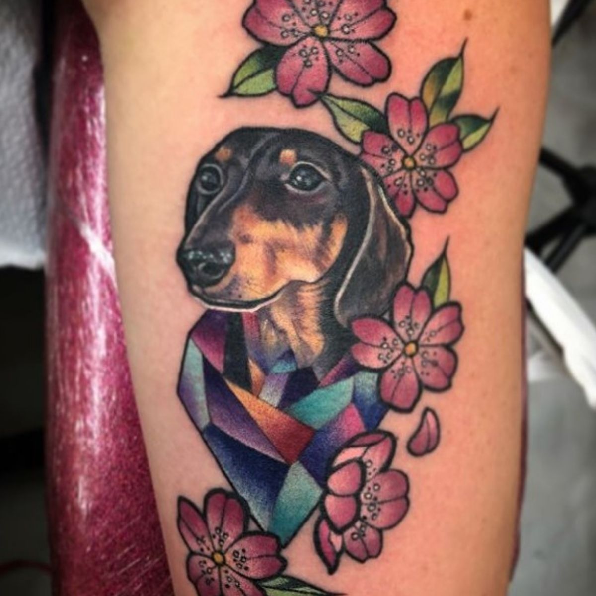 Dachshund Bonus on Twitter Show me your tattoo dogtattoo cutedog  dogsofinstagram Dog dogsoftwitter httpstcozDBAyfL169  Twitter