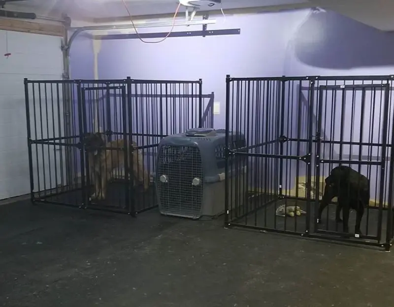 indoor dog boarding kennels