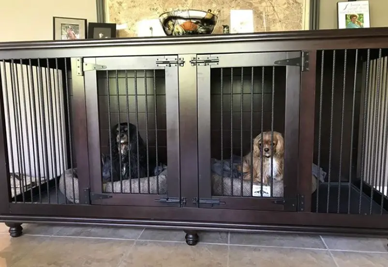 30+ Best Indoor Dog Kennel Ideas | Page 8 of 9 | The Paws