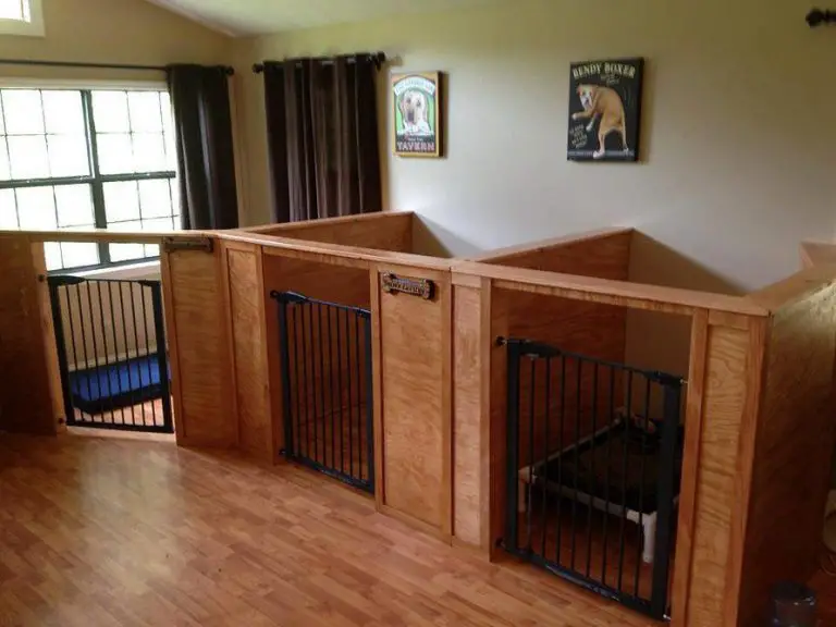 30+ Best Indoor Dog Kennel Ideas Page 3 of 9 The Paws