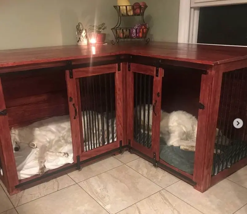 indoor dog crate