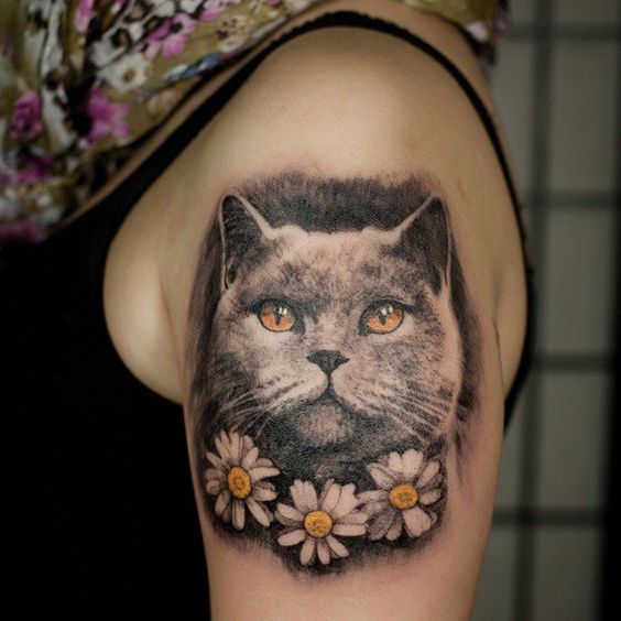 My cats tattoos  Angelique Grimm