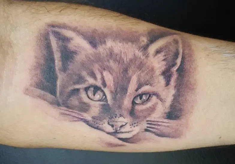 30 Best Realistic Cat Tattoo Designs  The Paws