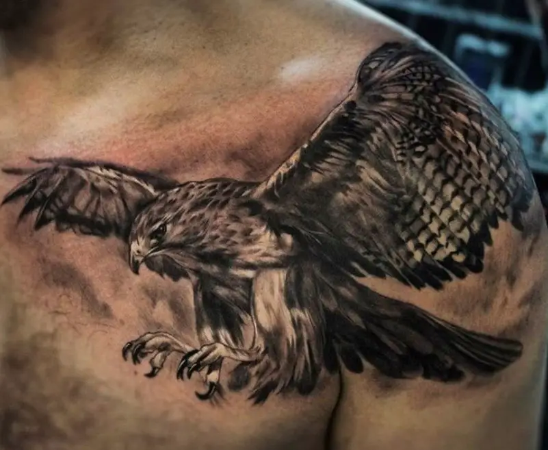 Buy Procreate Tattoo Stamp and Reference Image of Eagle Tattoo Online in  India  Etsy