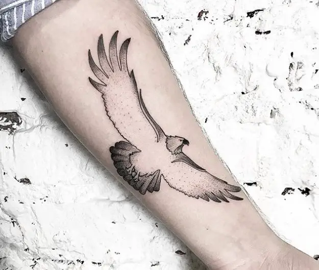 Egyptian Falcon Temporary Tattoo Bird Eagle Hawk Wings Faience  Etsy