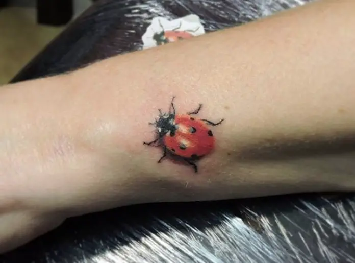 Amazoncom  TAFLY Temporary Tattoo 3D Ladybug Waterproof Insects Tattoo  Stickers for Kids 5 Sheets  Beauty  Personal Care