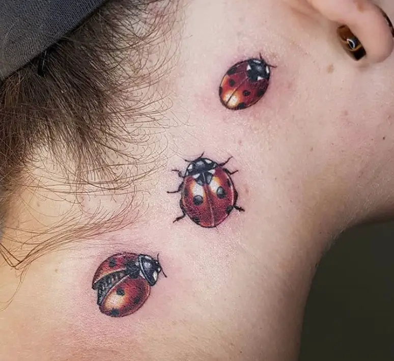 30 Best Ladybug Tattoo Design Ideas Page 5 The Paws