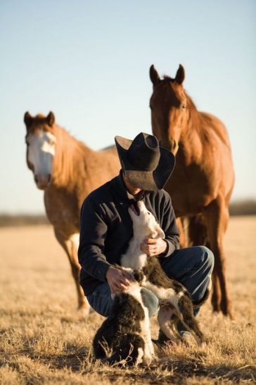 75-cowboy-dog-names-the-paws