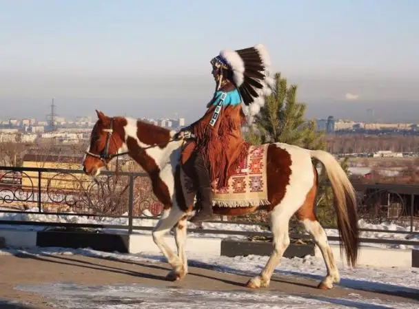 60 Native American Horse Names with Meanings - The Paws