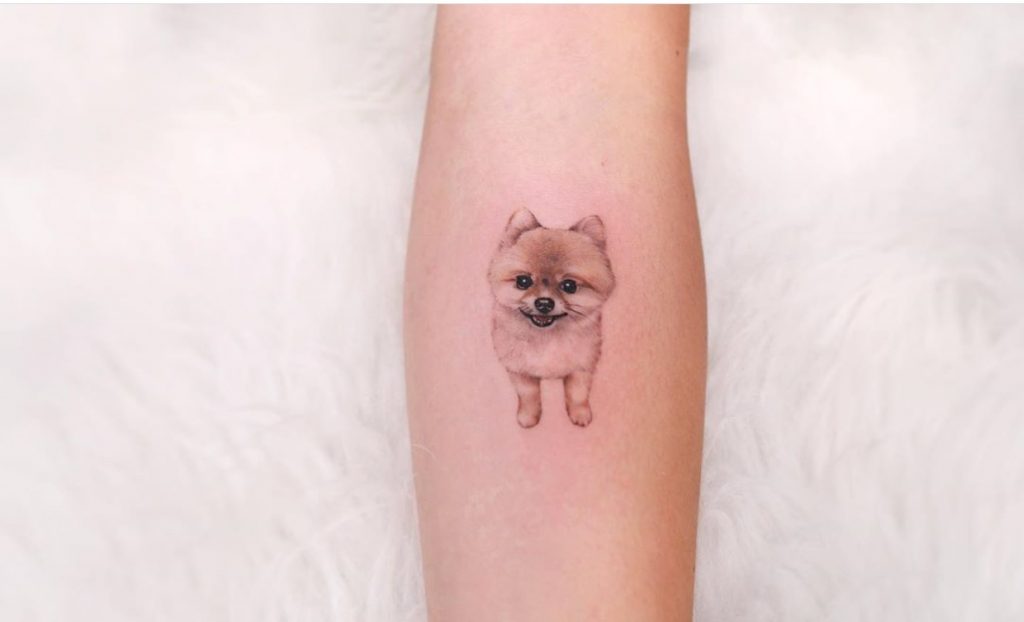 15 Best Tattoo Ideas For Pomeranian Lovers | The Paws