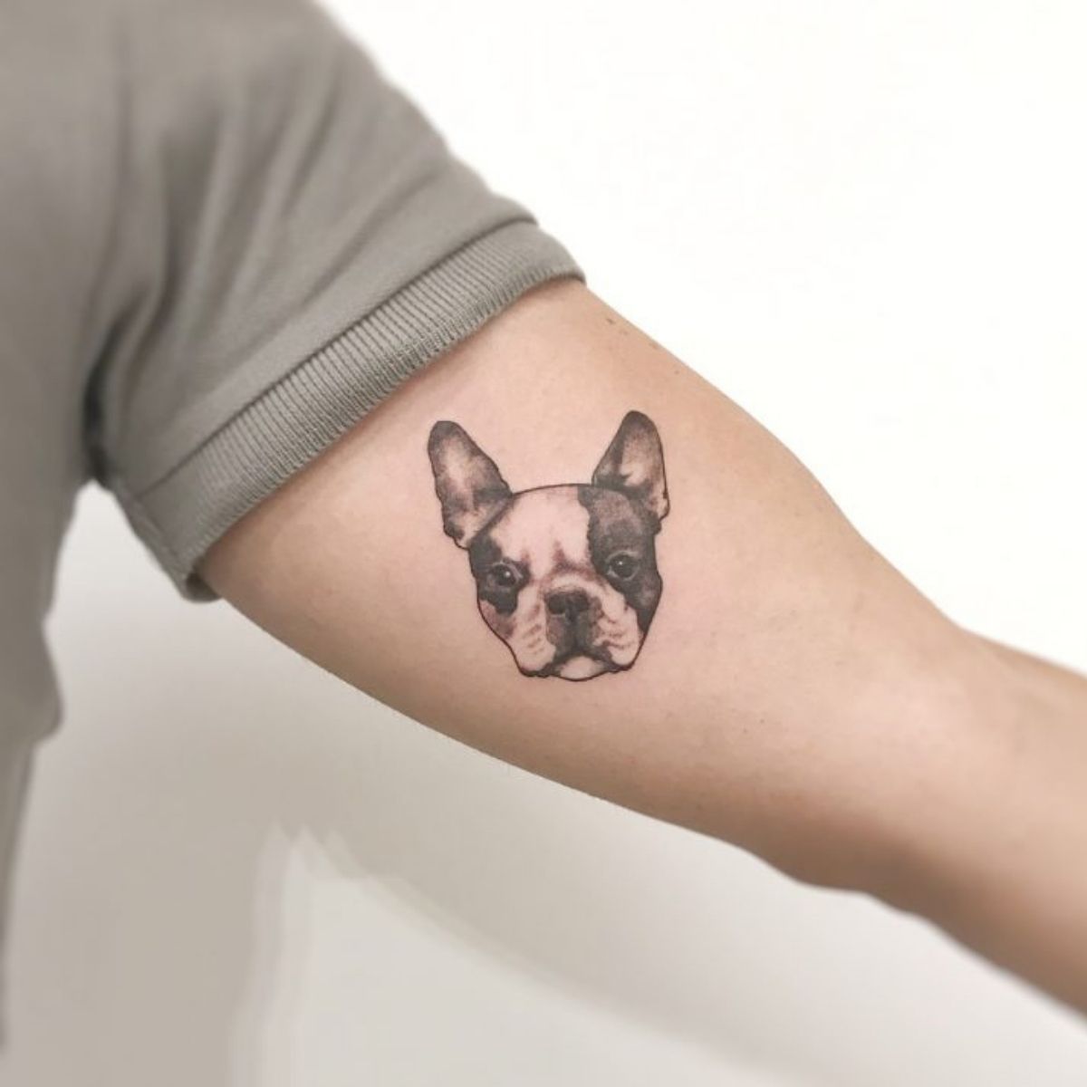 15 Great Tattoo Ideas For The Boston Terrier Fans The Paws