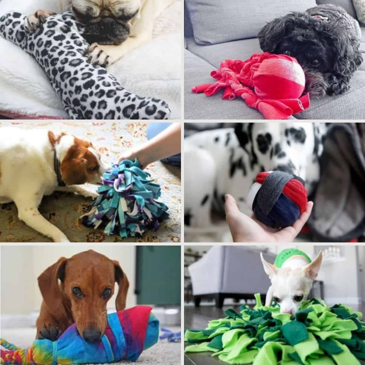 Leopold's Crate: Fun activity for dogs who like to disembowel their  stuffed animal toys.